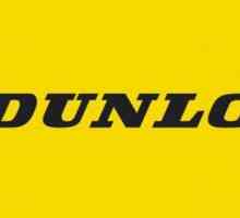 Dunlop SP Sport Maxx: recenzije. Nedostaci i prednosti guma Dunlop SP Sport Maxx