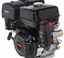 Benzinski motori motoblokova: pregled, uređaj, specifikacije i recenzije