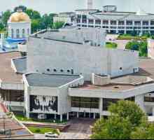 Palača djece i mladih u Voronezhu: fotografije, šalice i sekcije, adresa