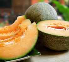 Melon: sadržaj kalorija na 100 grama. Korist i štetu dinje
