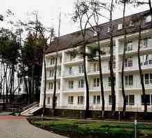 "Dzhanhot" hotel: odmorite se u mirnoj zoni Crnog mora