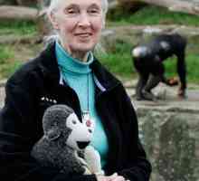 Jane Goodall, primatolog: biografija