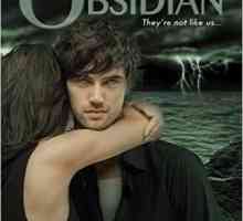 Jennifer Armintraut, knjiga "Obsidian": žanr, glavni likovi, recenzije