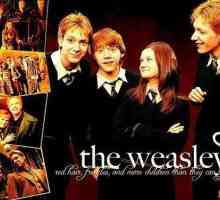 George Weasley i Fred Weasley su nestašni blizanci iz priče dječaka koji je preživio