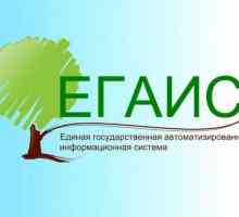 Jedinstveni državni automatizirani sustav (EGAIS) "Računovodstvo drva i transakcija s…