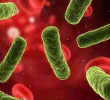 Enterobacter cloacae: norma i patologija