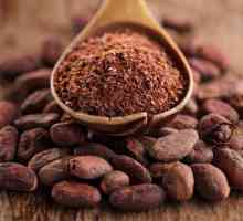 Postoji li kakav kofein u kakao? Kakao: zdravstvene koristi i šteta