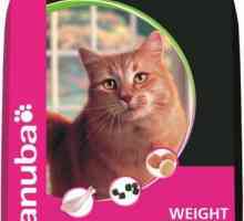 Eukanuba - mačka hrana: da vaš ljubimac bude zdrav