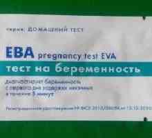 `Eva` - test trudnoće: recenzije, značajke aplikacije, cijene