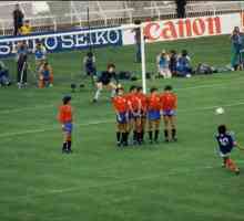 Euro-1984 nogometni turnir