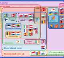 Europsko gospodarsko područje: formacija, sudionici i odnosi s Eurazijskom ekonomskom zajednicom