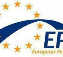 Europska narodna stranka: sastav, struktura, pozicije