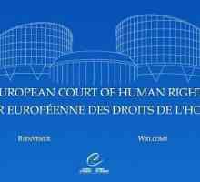 Europski sud za ljudska prava