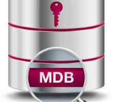Datoteke s proširenjem MDB-a: što treba otvoriti?