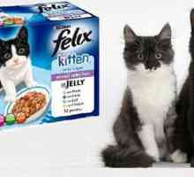 `Felix` (mačka hrana): recenzije kupaca i veterinara