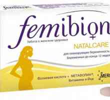 "Femibion ​​-1": sastav. `Femibion` za trudnice: priručnik, recenzije