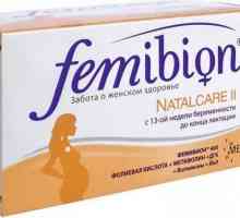 `Femibion ​​2`: sastav, analozi i recenzije. Vitamini za trudnice Femibion: upute…