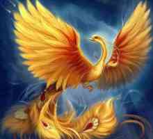 Phoenix je ptica koja simbolizira vječnu obnovu i besmrtnost