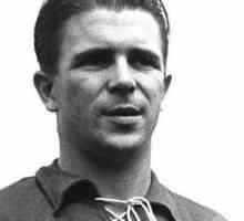 Ferenc Puskas - mađarski nogometaš: biografija, sportska postignuća