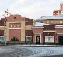 Filharmonija (Voronezh) - jedno od najznačajnijih mjesta u gradu