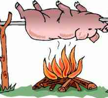 Meso - natječaj i skoro tanak svinjski meso