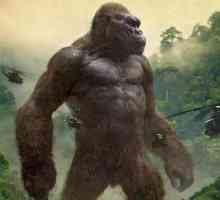 Film "Kong: Otok lubanje": recenzije, priča, glumci, datum objavljivanja