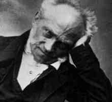 Schopenhauerova filozofija: voluntarizam i bezobzirnost ljudskog života
