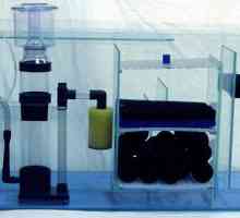 Filtar za akvarij vlastitim rukama. Kako prikupiti filtar za akvarij: sheme, savjeti