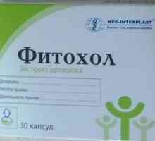 "Phytochol": upute za korištenje tableta