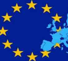 Zastava Europske unije: povijest i značenje