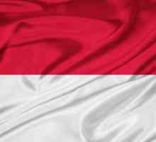 Zastava Indonezije: vrsta, značenje, povijest