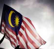Zastava Malezije: opis, značenje i povijest