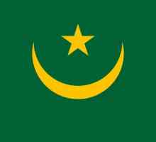 Zastava Mauritanije: pogled, značenje, povijest