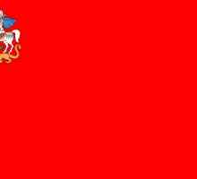 Zastava Moskve regije. Zastave administrativnih jedinica regije.
