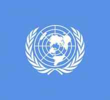 UN zastava: simboli i boja