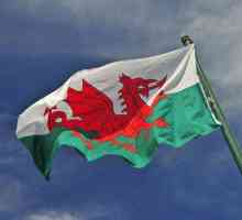 Zastava Walesa, njezinog podrijetla i drugih simbola zemlje
