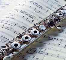 Flauta je najstariji glazbeni instrument