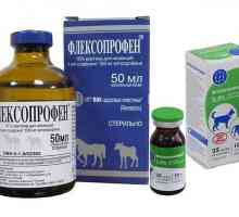 `Flexoprofen` za mačke: upute za uporabu