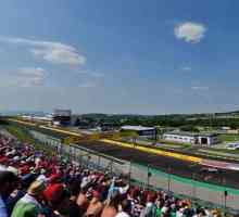 Formula 1: Mađarski Grand Prix