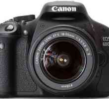 Canon D600 kamera: specifikacije, recenzije