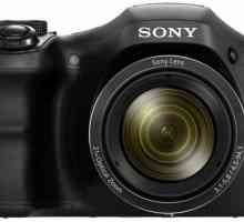 Sony Cyber ​​Shot fotoaparat DSC-H100: specifikacije i recenzije