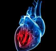 Frakcija izbacivanja srca: norma i patologija