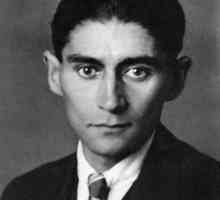 Franz Kafka, `The Castle`: sažetak i recenzije knjige
