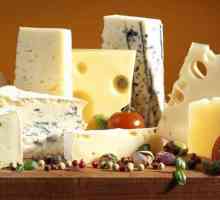 Francuski sirevi i njihove vrste. Top 10 francuskih sireva