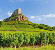 Francuska vina iz Burgundija