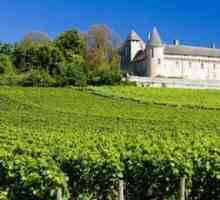 Francuski vino `Petrus`: opis, fotografija
