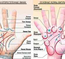 Proricanje rukom: značenje redaka