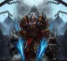 Vodič za World of Warcraft: Očaravajući