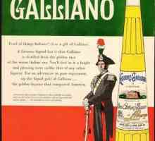 `Galliano` (liker): recenzije o okusu pića