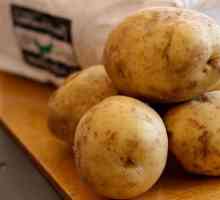Kolačići od krumpira: recept